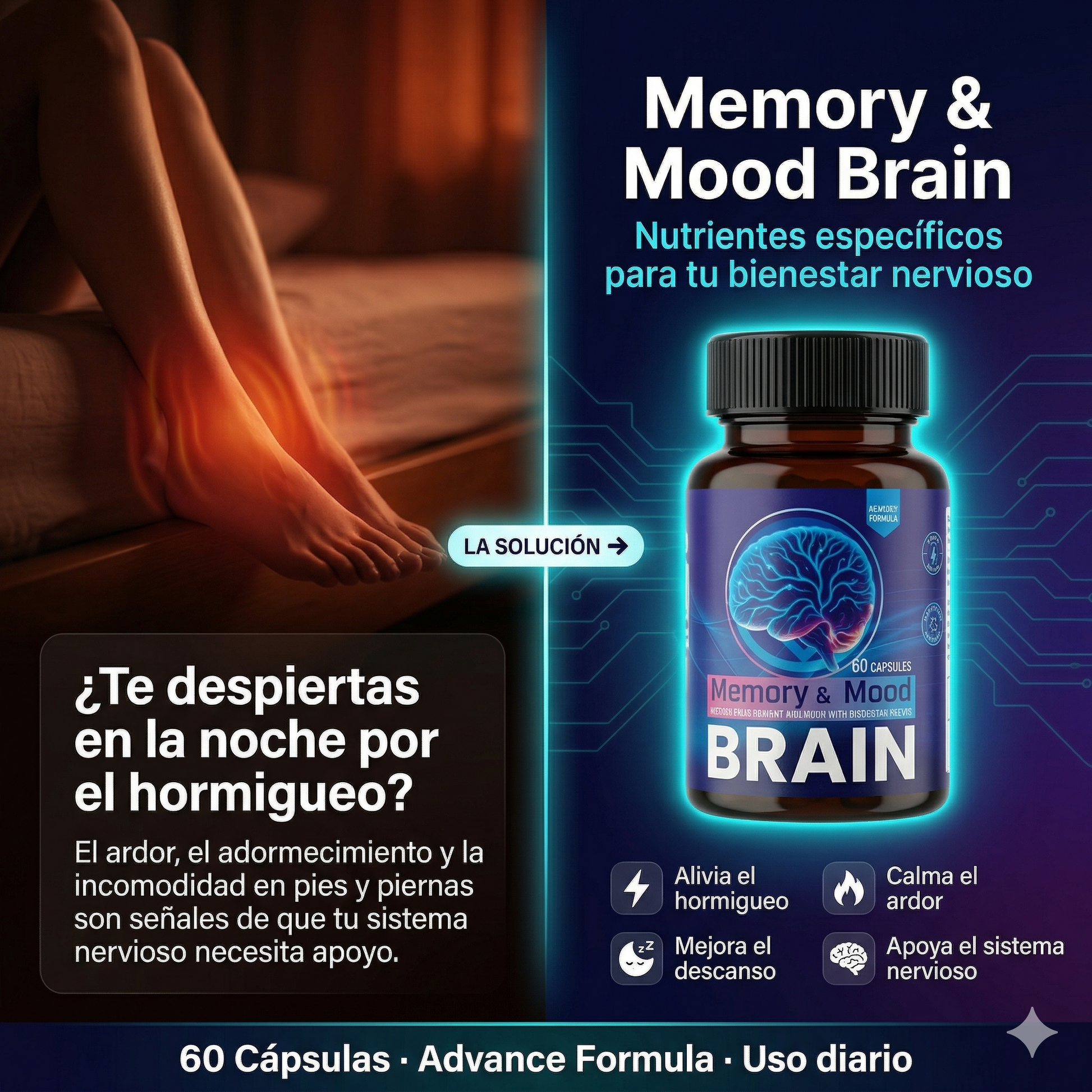 Nuevo Memory & Mood Brain - SurtiShop